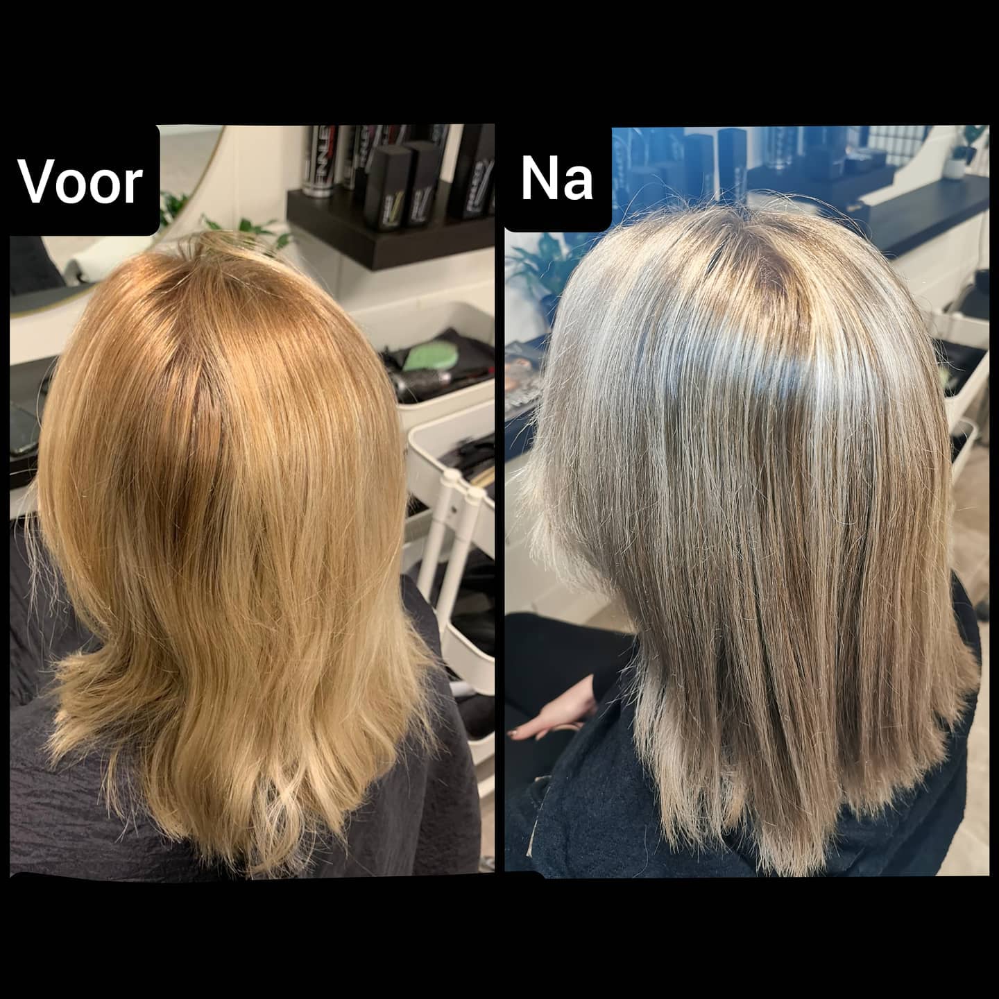 Highlights