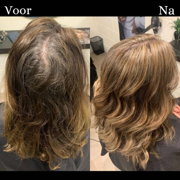 Highlights